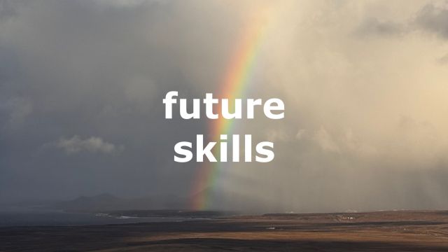 SF214 Future Skills – Sechs Felder