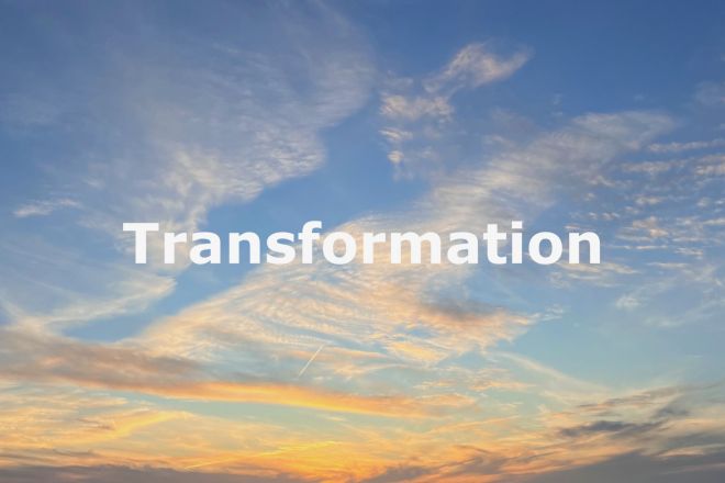 SF209 Transformationsoffenheit