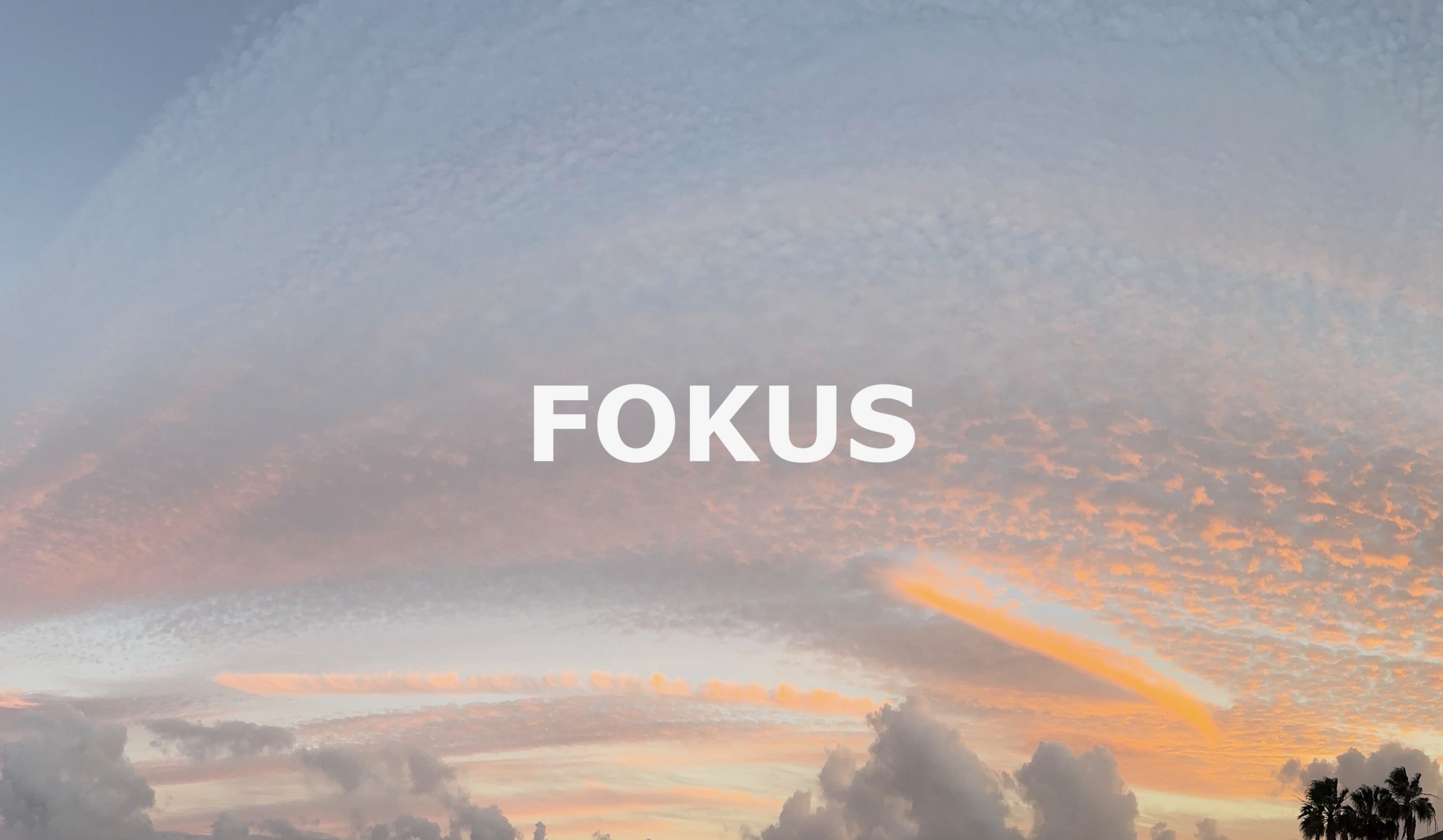 SF216 Fokus statt Dauerstress