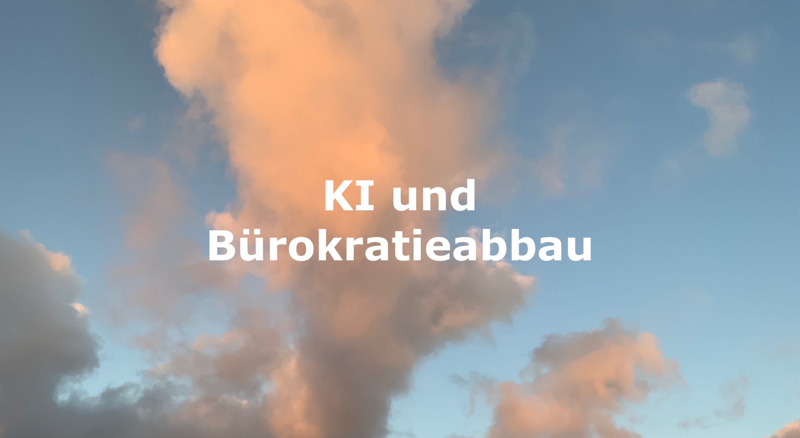 SF212 KI und Bürokratieabbau