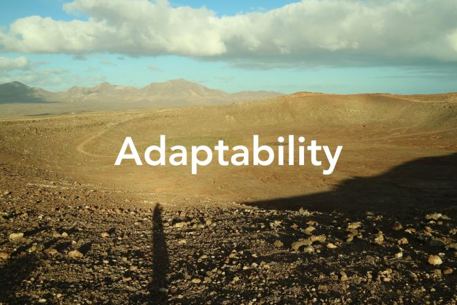 SF228 Anpassungsfähigkeit ist die neue Resilienz?