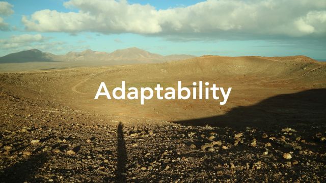 SF228 Anpassungsfähigkeit ist die neue Resilienz?