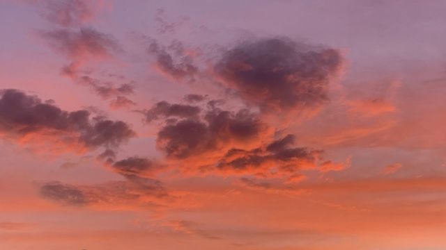 Wie Sie Ihr mentales Immunsystem stärken